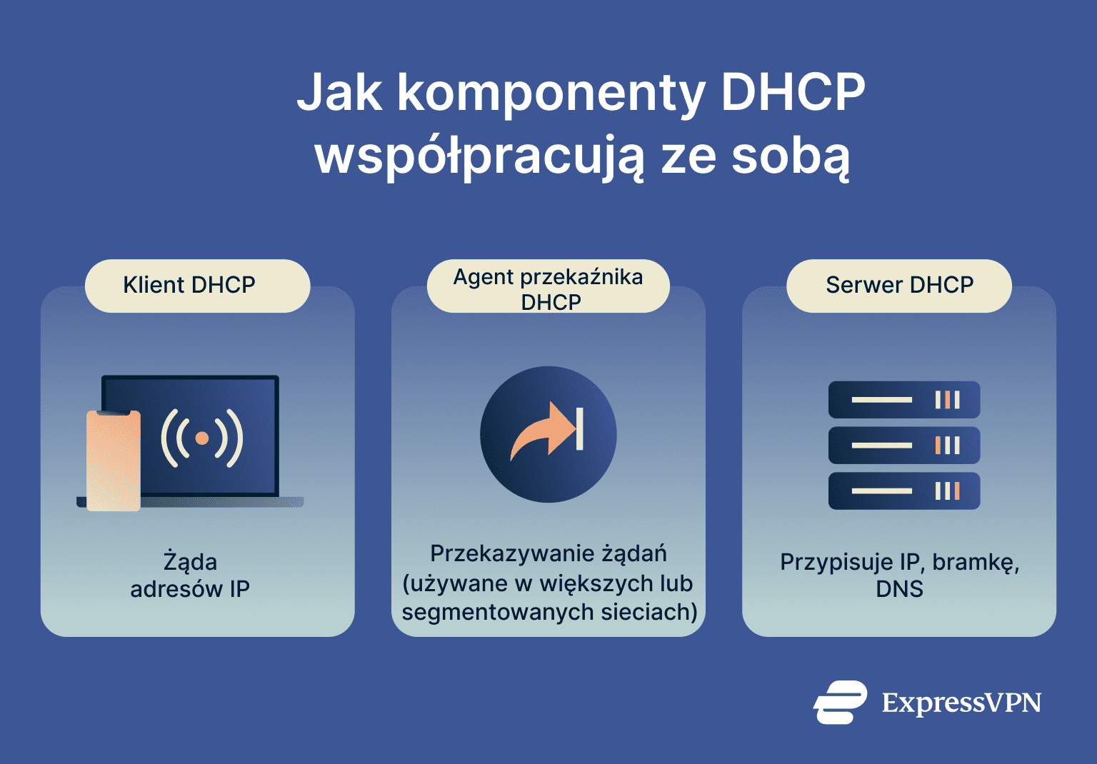 Infographic showing how DHCP components work.