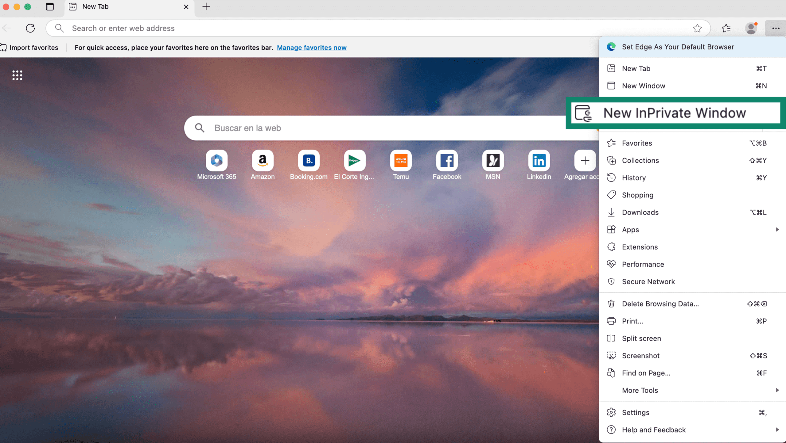 InPrivate Window in Microsoft Edge
