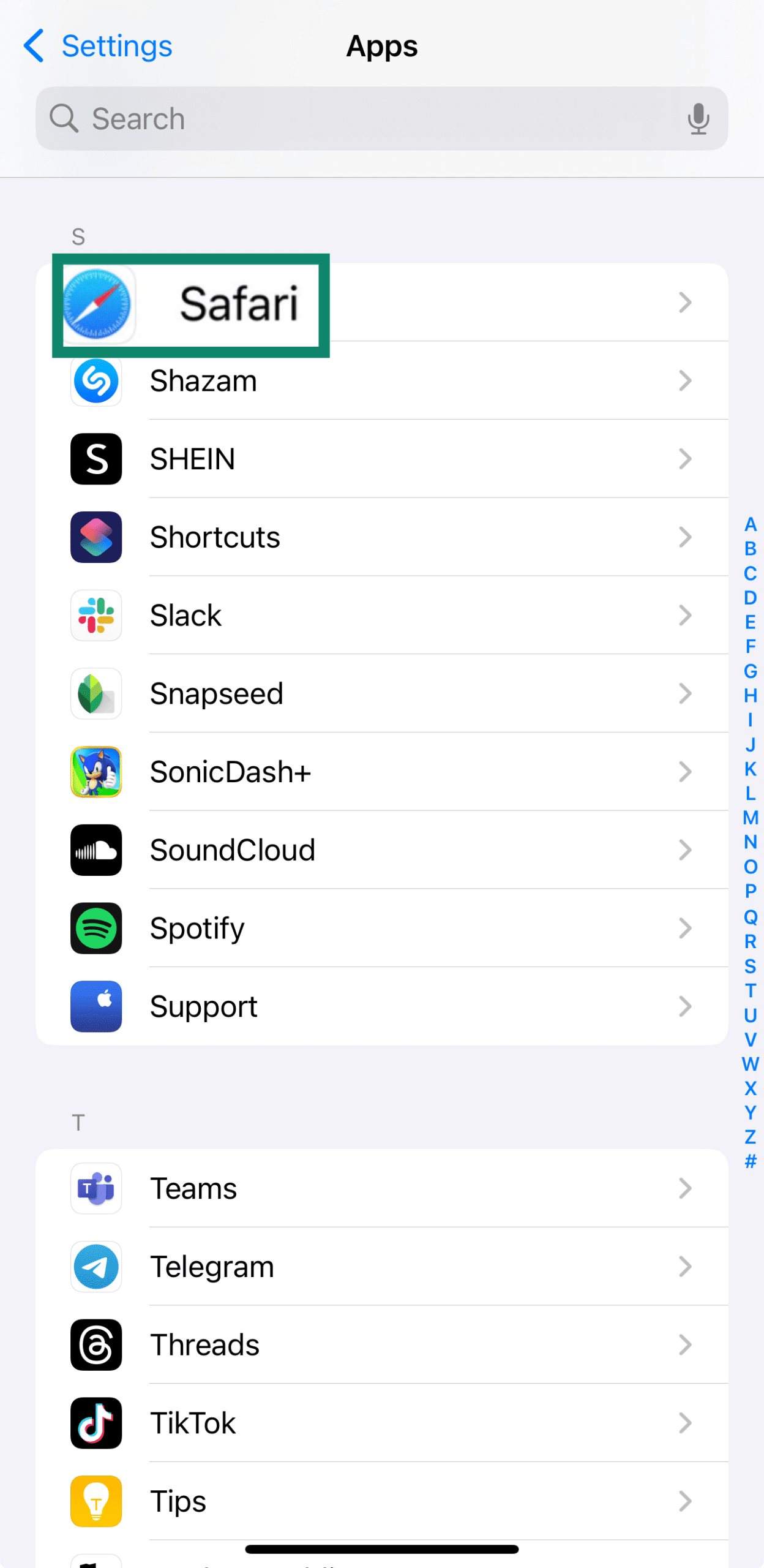 The Safari tab located within an iPhone's Settings/Apps menu.