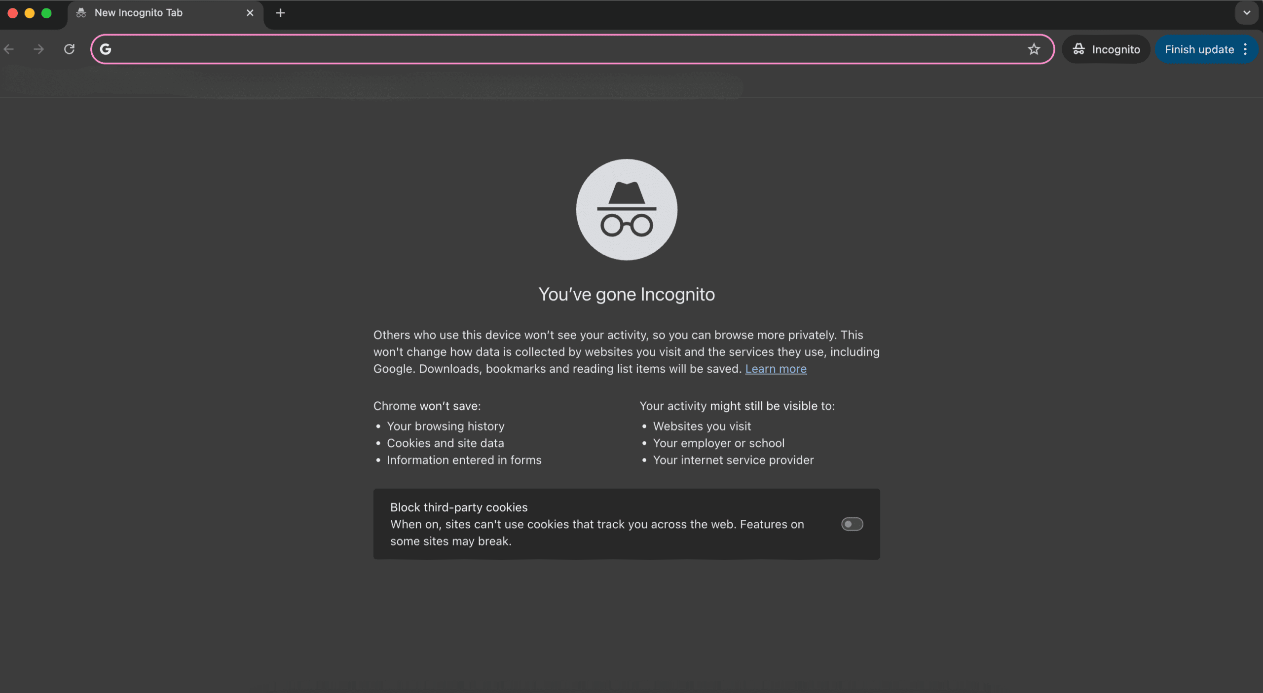 Google Chrome Incognito mode window with privacy disclaimer and options visible