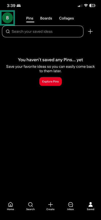 iOS Pinterest profile page with the user profile highlighted.