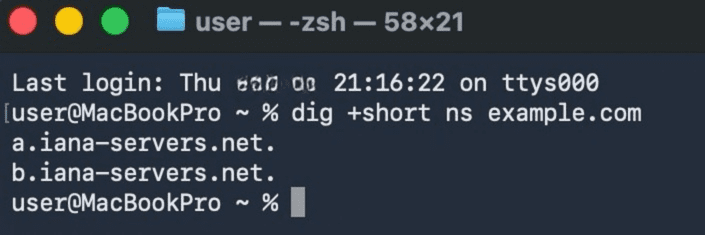 A macOS terminal page showing the input for pulling information a domain's nameservers.