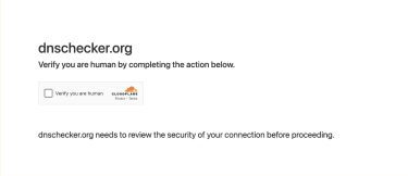 Screenshot of a CAPTCHA check.
