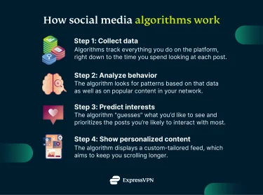 summary of how social media algorithms work, in 4 easy steps